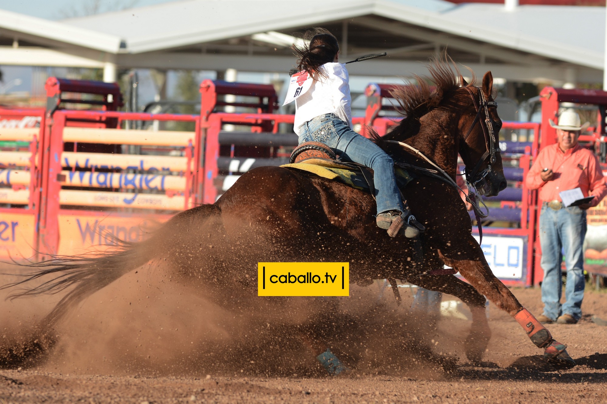 DSC_7765 copy