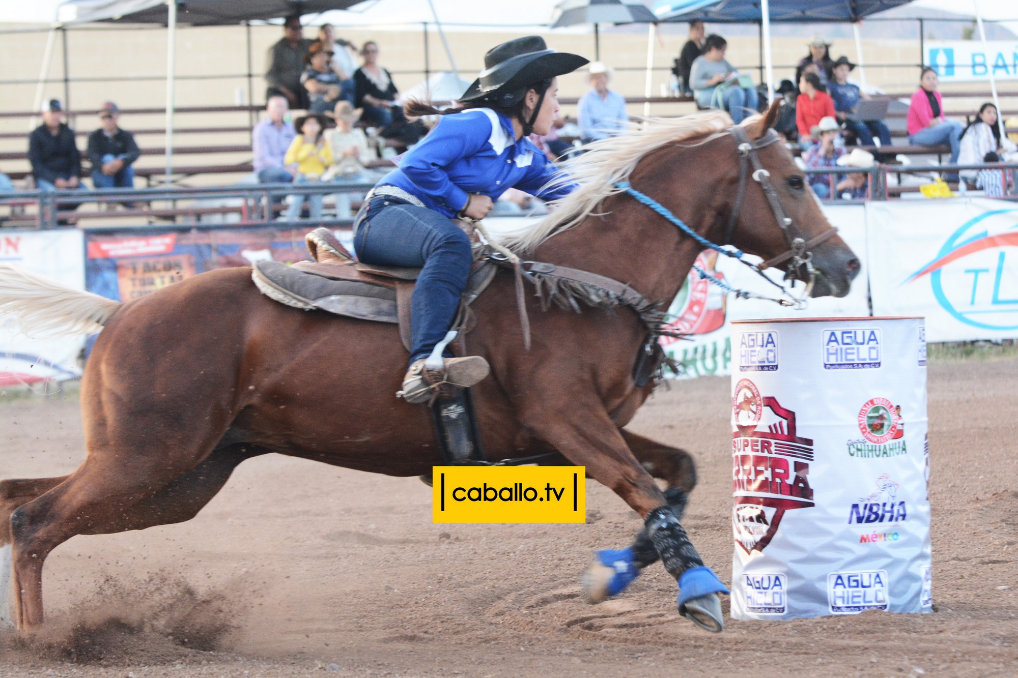 DSC_8019 copy