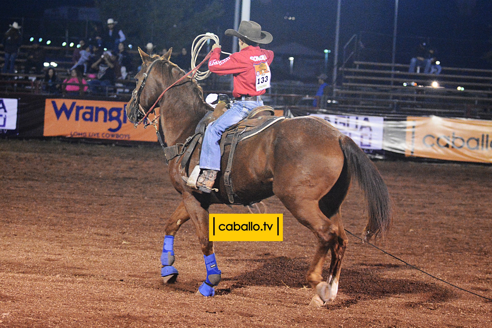 DSC_8583 copy