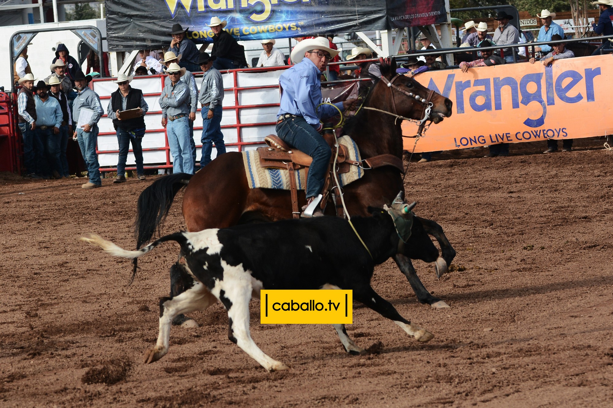 DSC_9184 copy