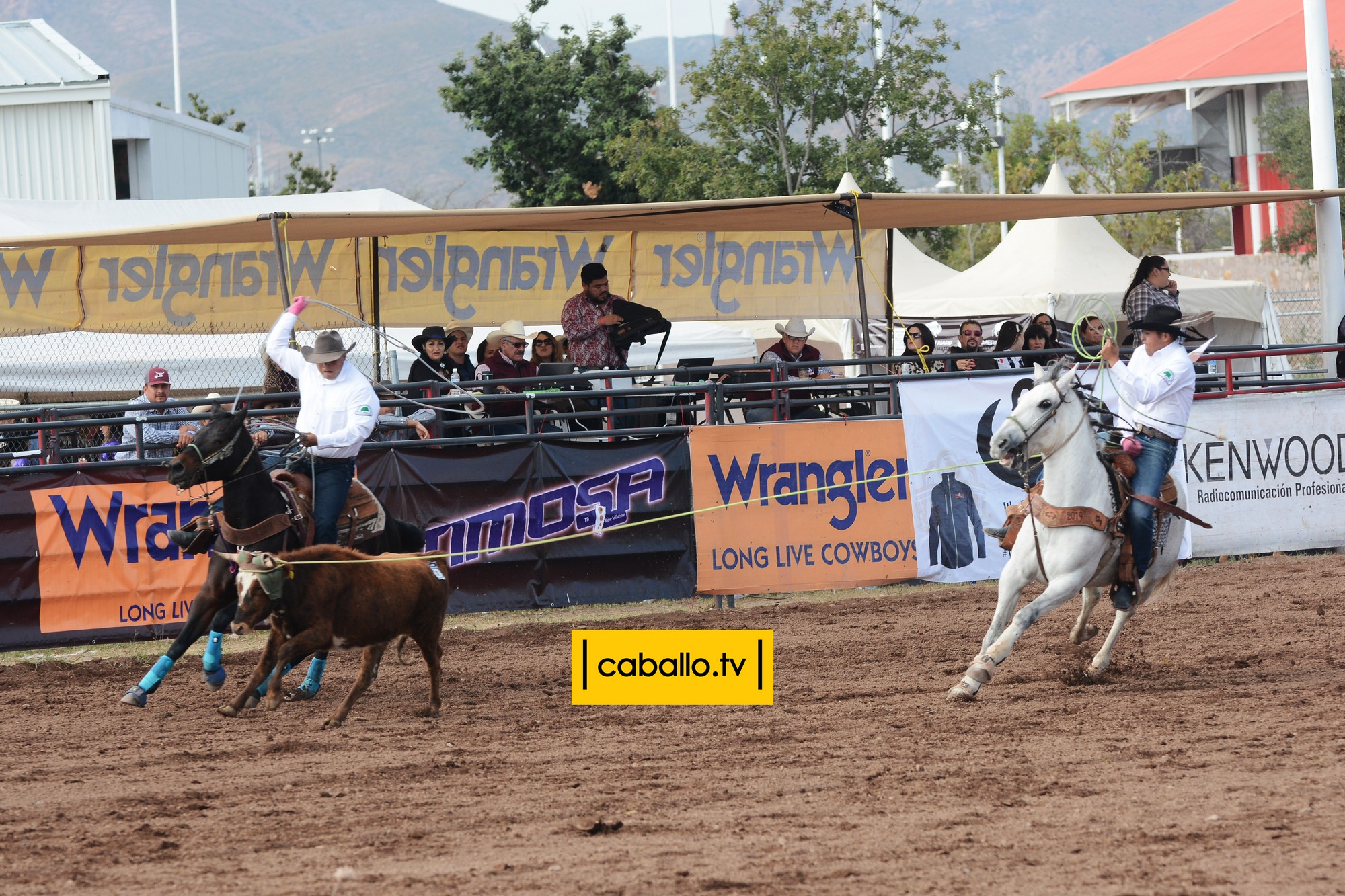 DSC_9205 copy