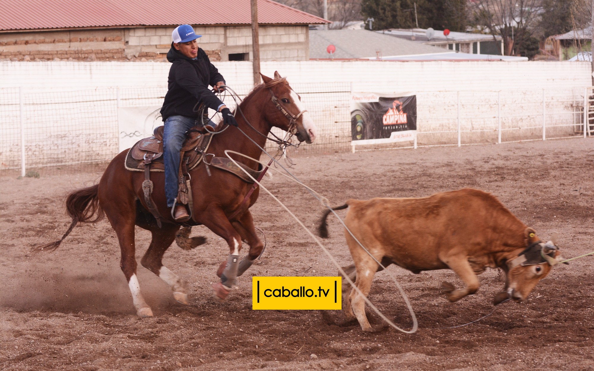 DSC_2271 copy