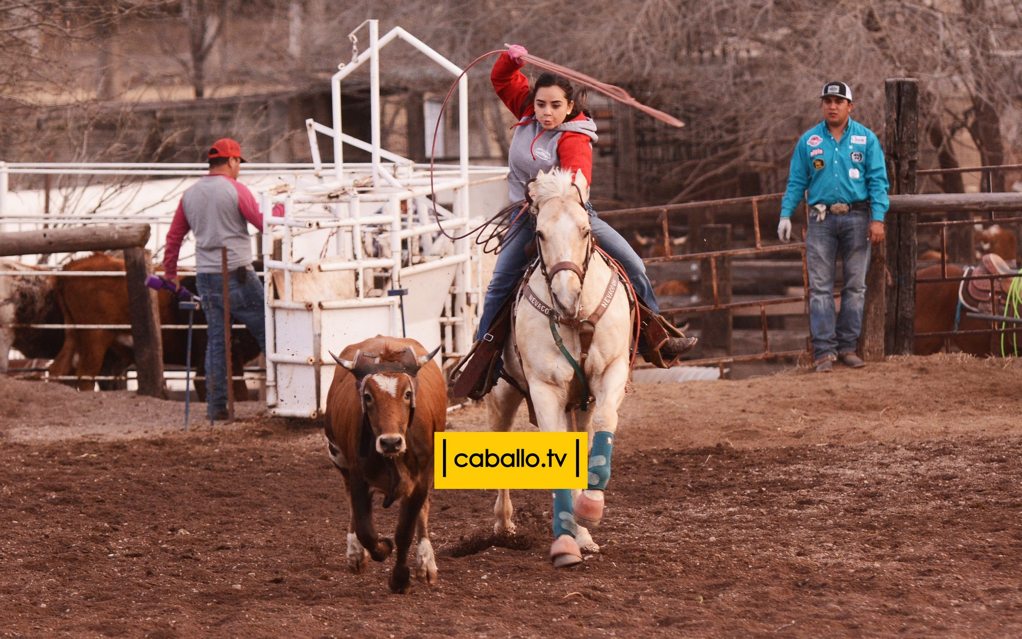 DSC_2375 copy