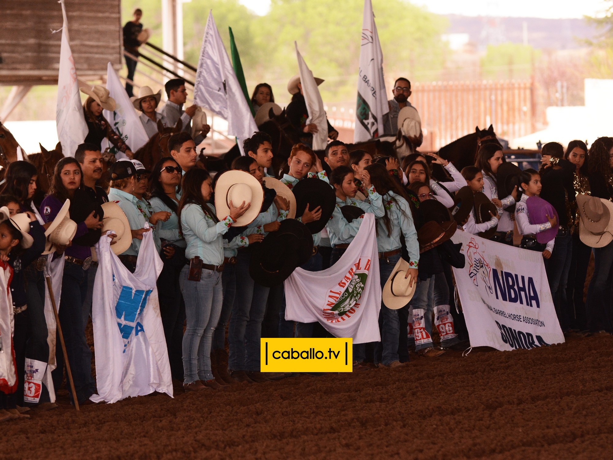DSC_4054 copy