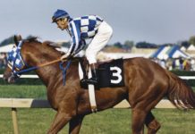 Secretariat a 47 años de la triple Corona