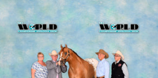 El caballo de sueño … “Power House Dream” por P. Dean Stasell, LC