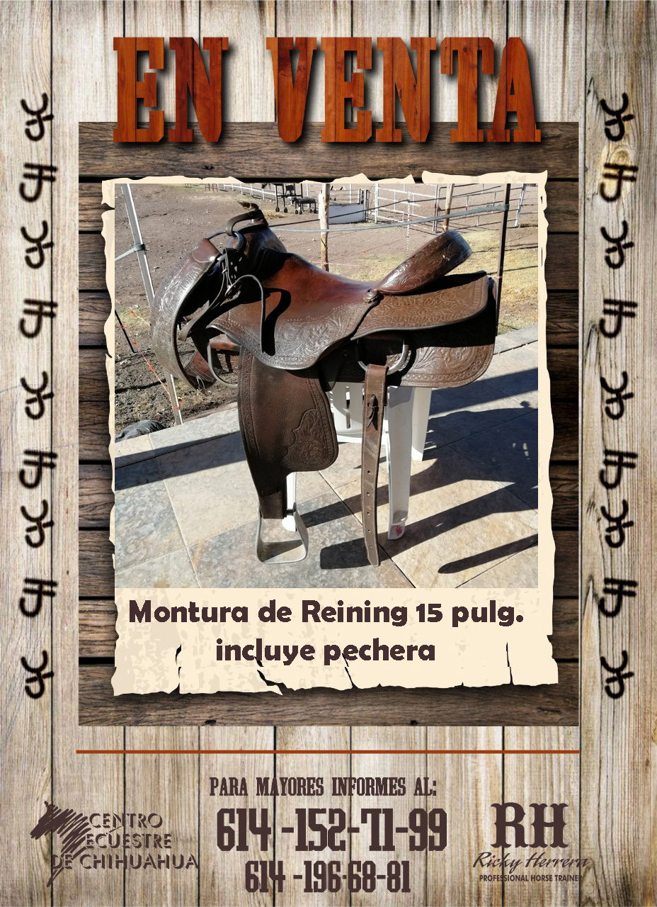 venta montura pechera tel ok