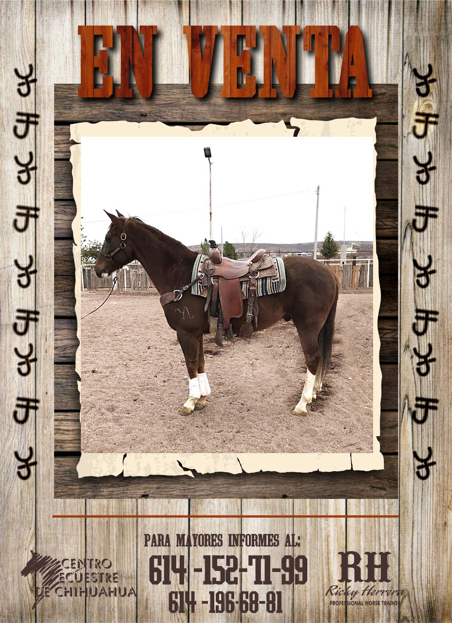 venta tel ok 20 1 2021 1