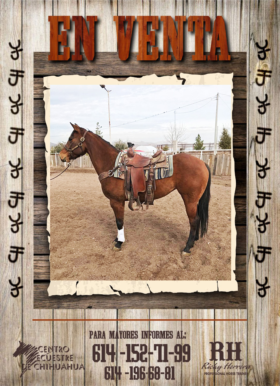 venta tel ok 20 1 2021 2