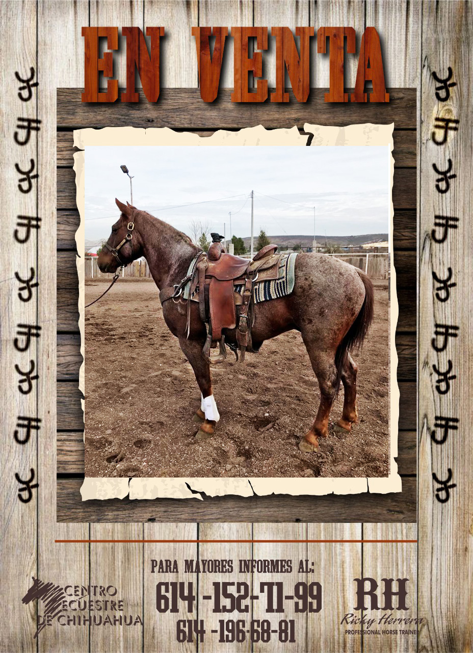 venta tel ok 20 1 2021 3