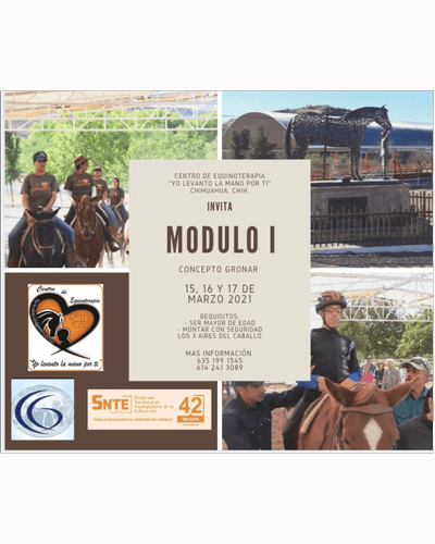 modulos Webp.net-gifmaker