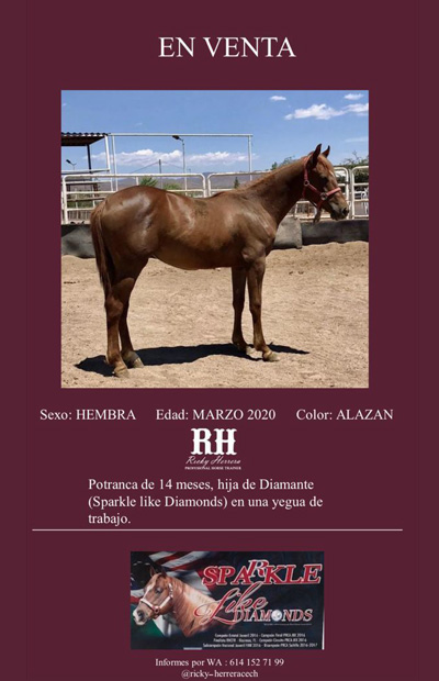 WhatsApp Image 2021-05-17 400 620 px