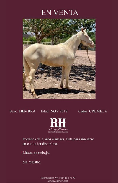 WhatsApp Image 2021-05-17 400 620 pxjpg