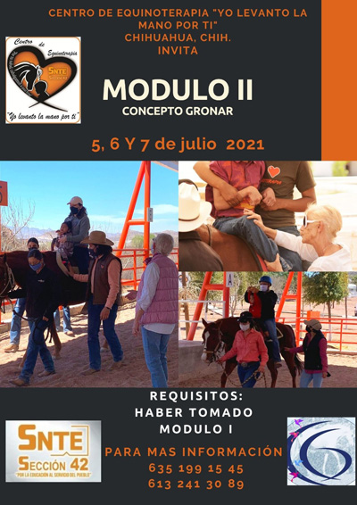 equinoterapia
