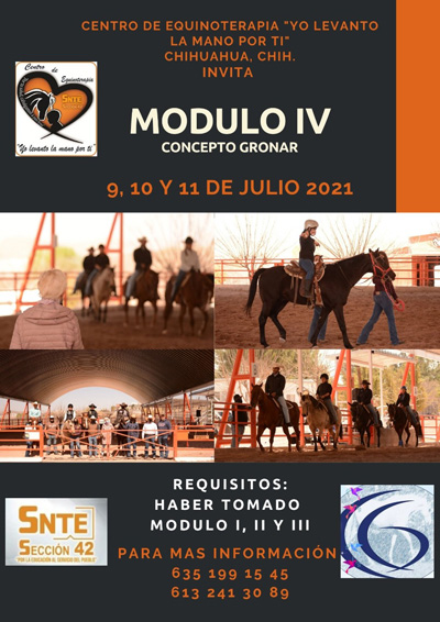 equinoterapia2