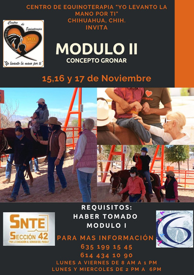modulo 2 400 px