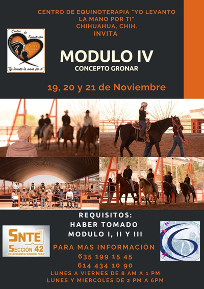 modulo 4 400 px