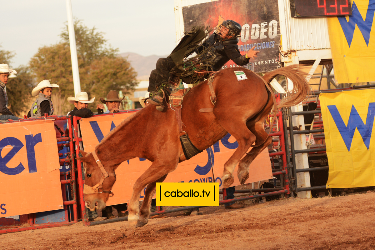 DSC_1833 copy