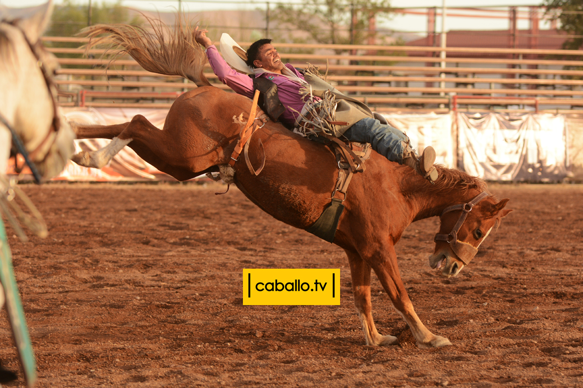DSC_1849 copy
