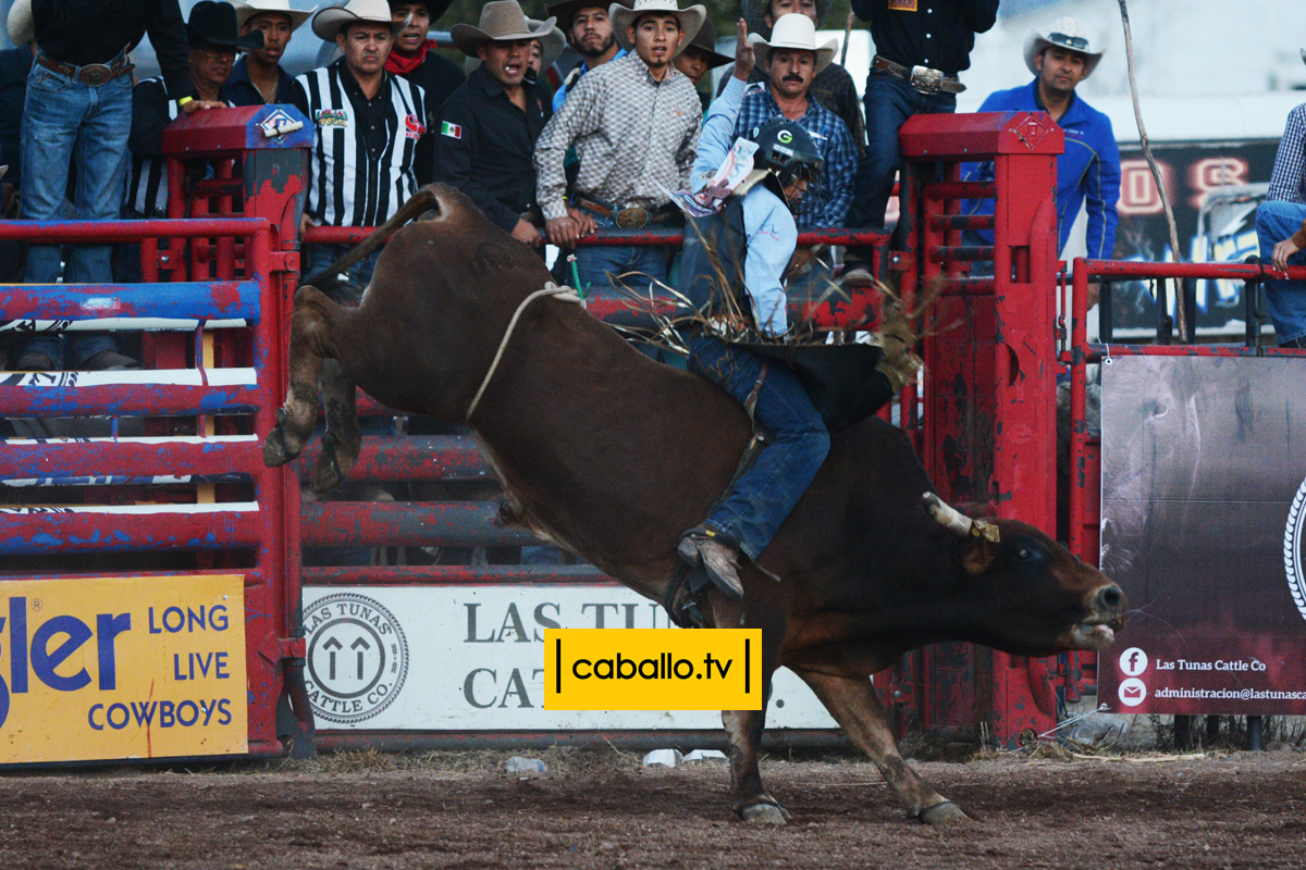 DSC_2021 copy