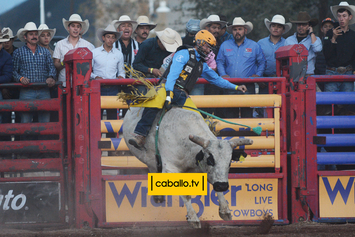 DSC_2043 copy