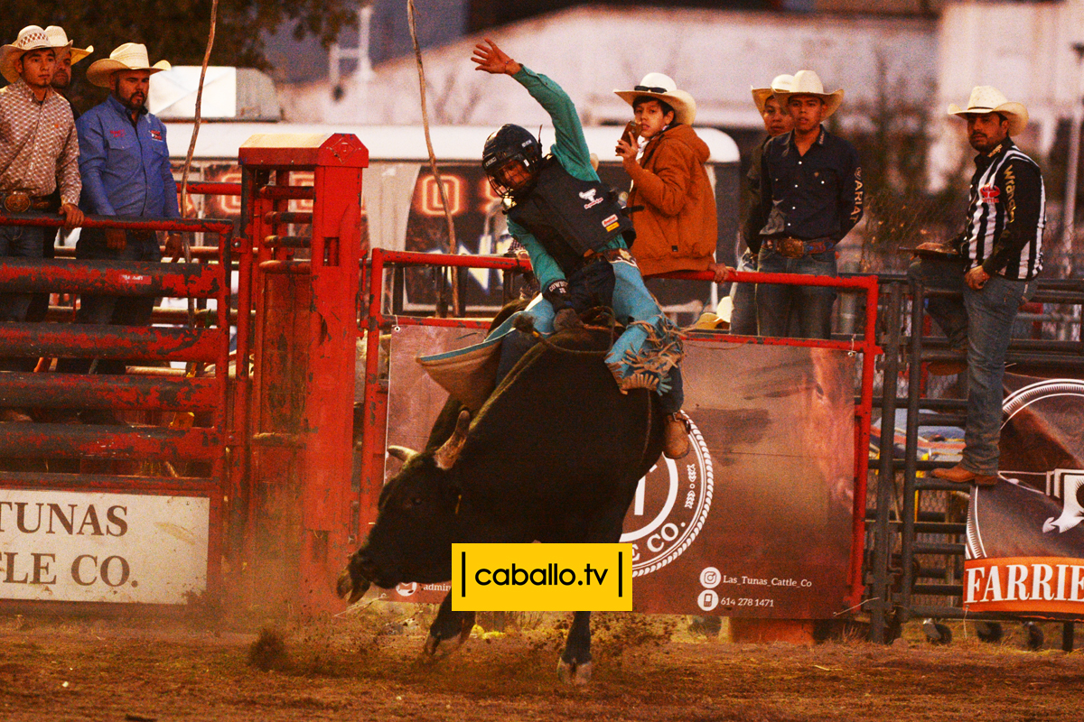 DSC_2093 copy