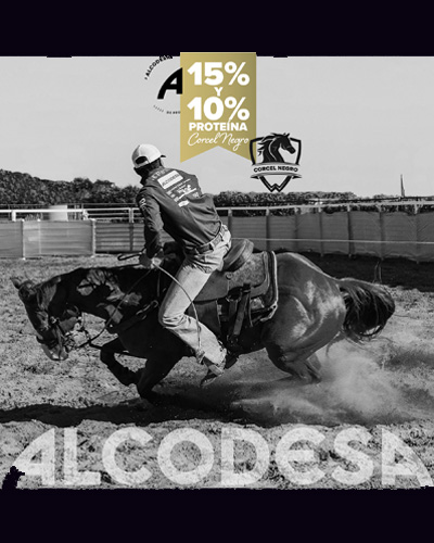 alcodesa poster 400px