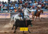 Lazo en falso y amarre de la chiva en el Rodeo de Zootecnia PARTE 5