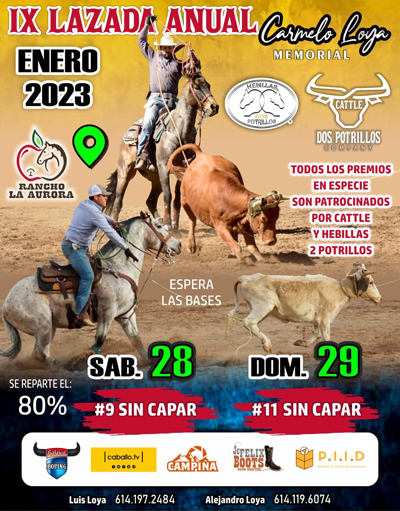 hebillas dos potrillos 400 px