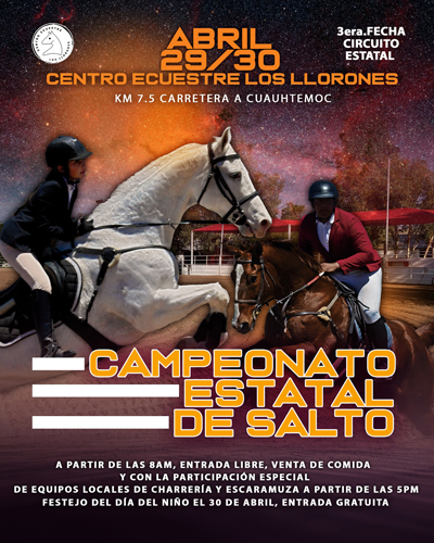 copa equitacion 4 2023 400 px