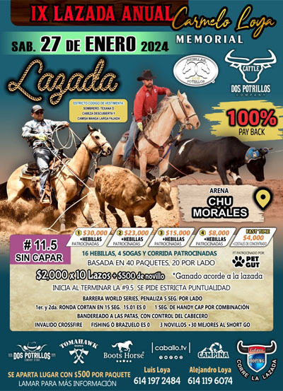 lazada dos potrillos 400 px 2ok