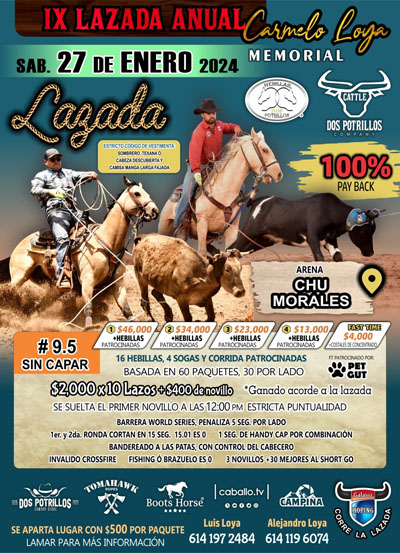 lazada dos potrillosok 400 px1